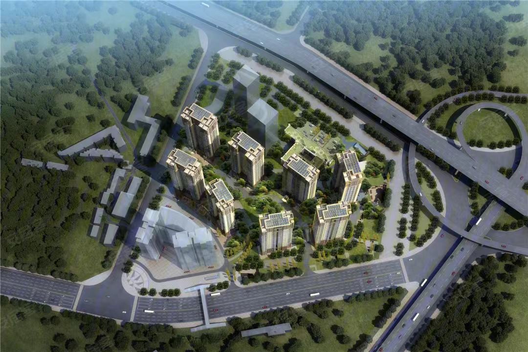 金泰國際